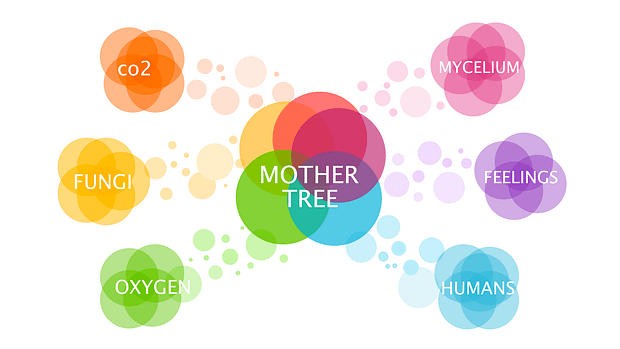 The Mother tree is connected to all of us