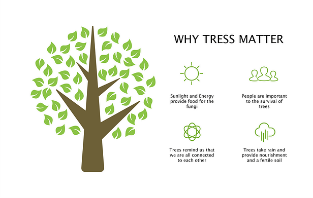What trees do for all of us